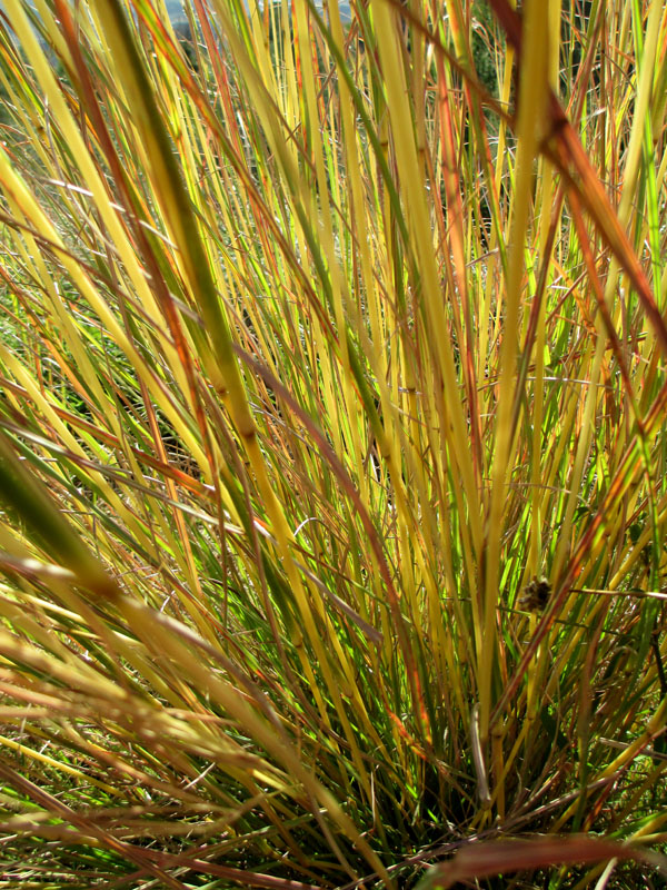 invierno27_casa rural shariqua