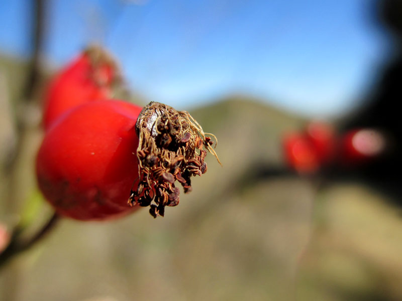 invierno31_casa rural shariqua