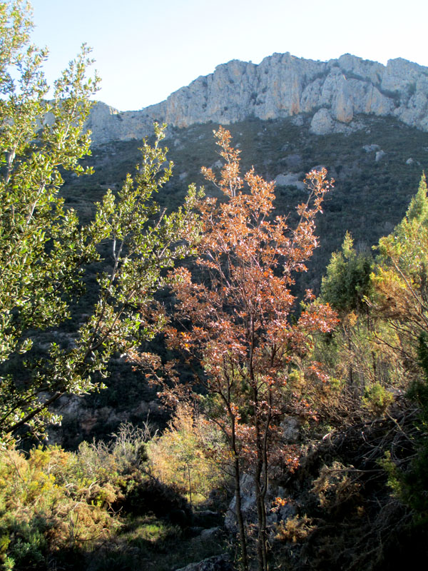 sierracaudiel5_casa rural shariqua