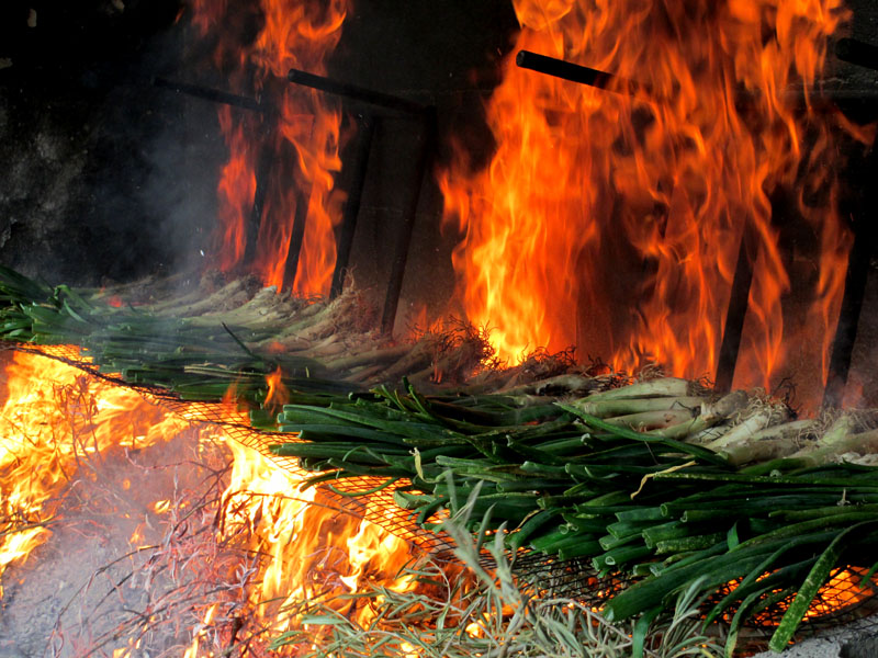 calçots3_casa rural shariqua