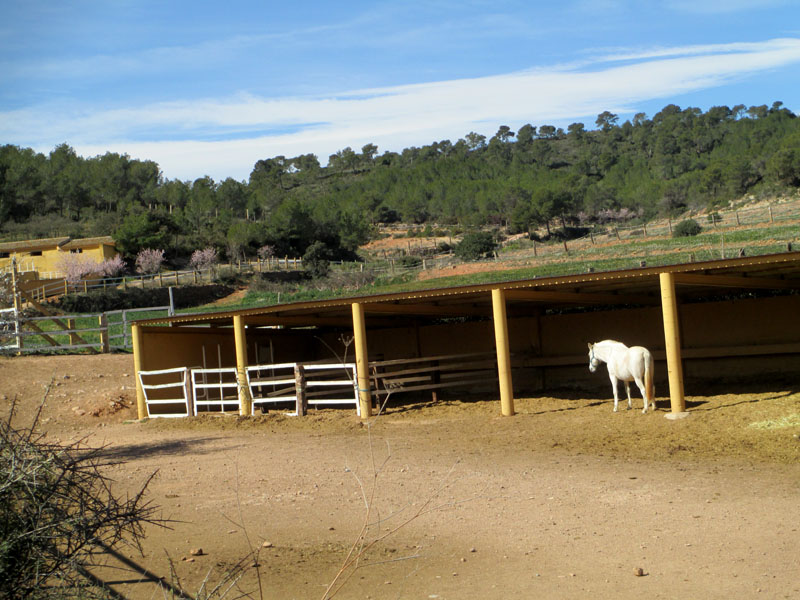 masias10_casa rural shariqua