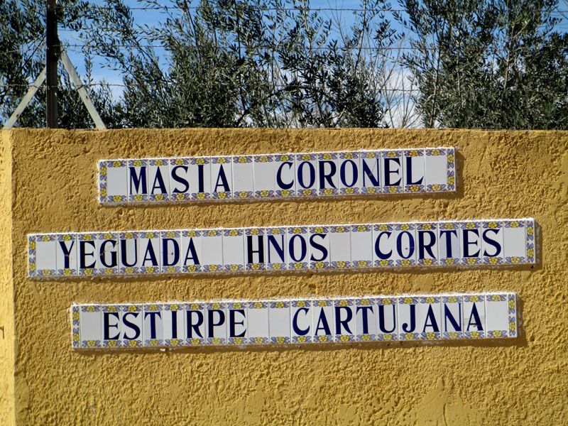 masias11_casa rural shariqua