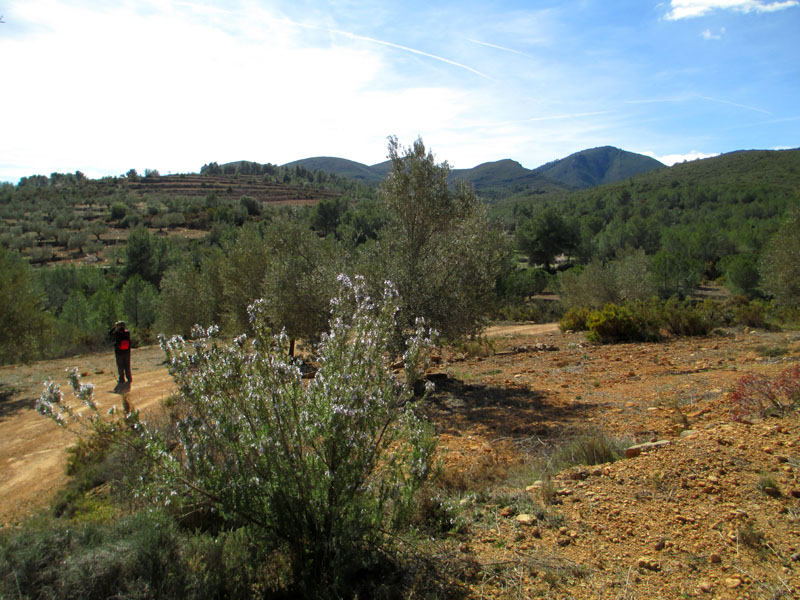 masias5_casa rural shariqua