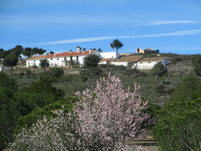 masias8_casa rural shariqua