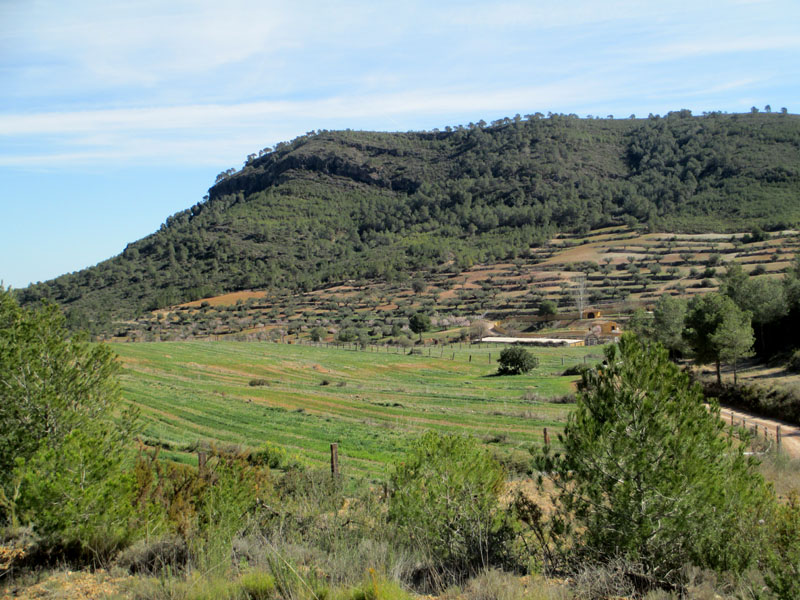 masias9_casa rural shariqua