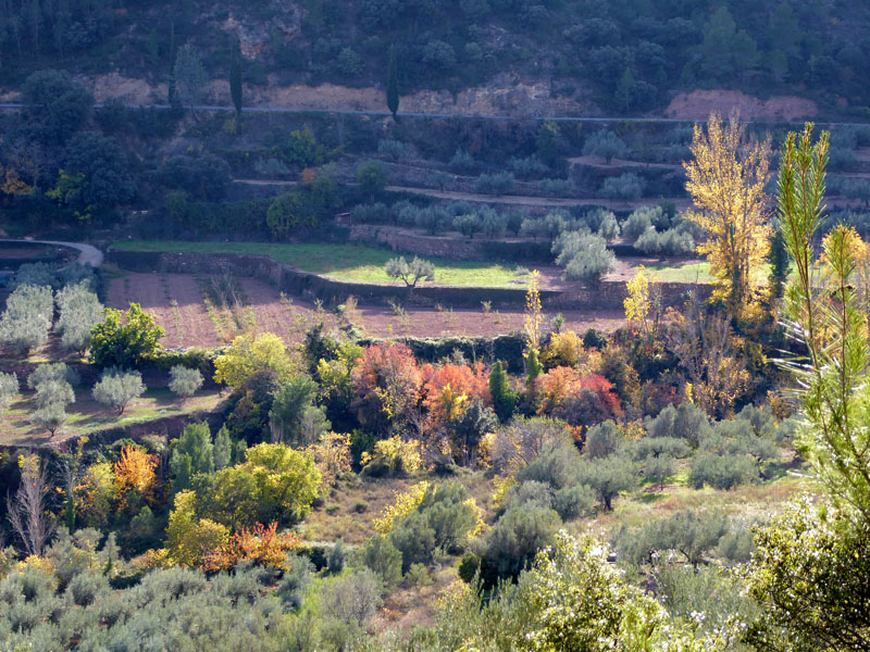 palancia-amador17_casa-rural-shariqua