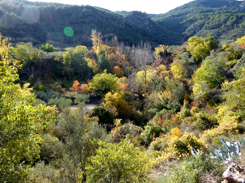 palancia-amador21_casa-rural-shariqua