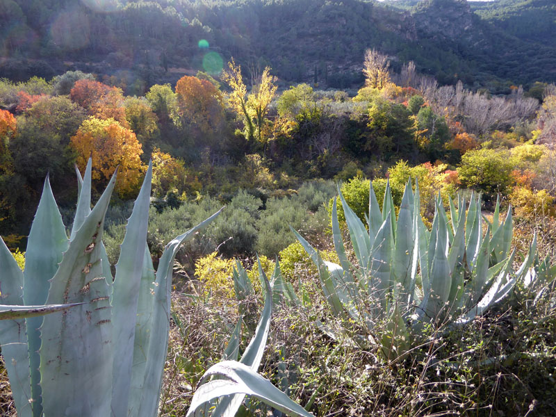 palancia-amador22_casa-rural-shariqua