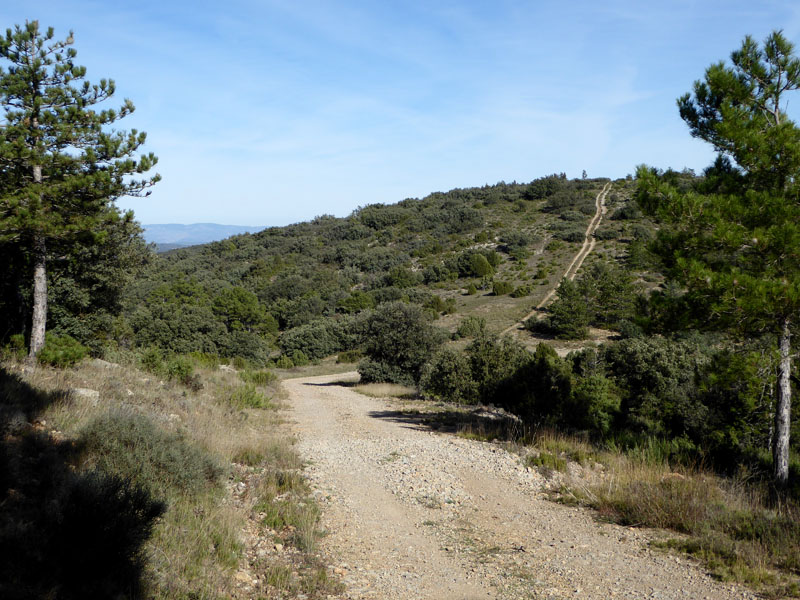 palancia-amador3_casa-rural-shariqua