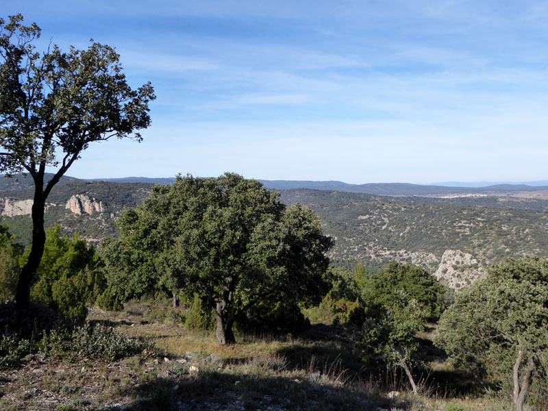 palancia-amador5_casa-rural-shariqua
