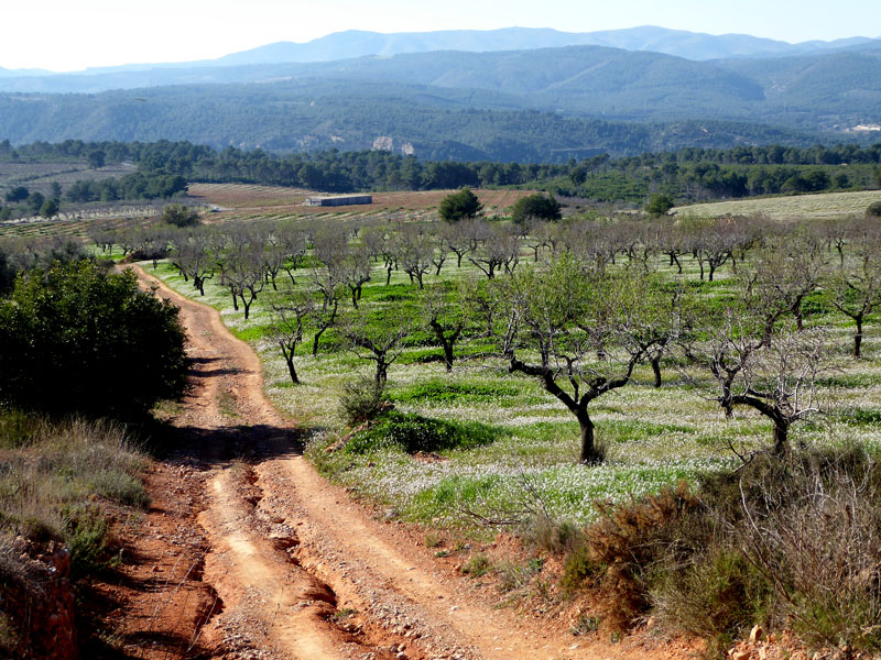 gaibiel14_casa-rural-shariqua