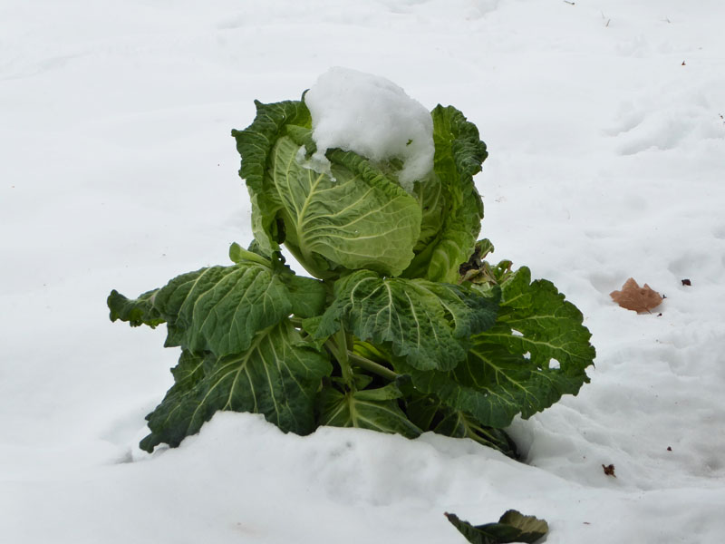 nieve-alto-palancia12_casa-rural-shariqua