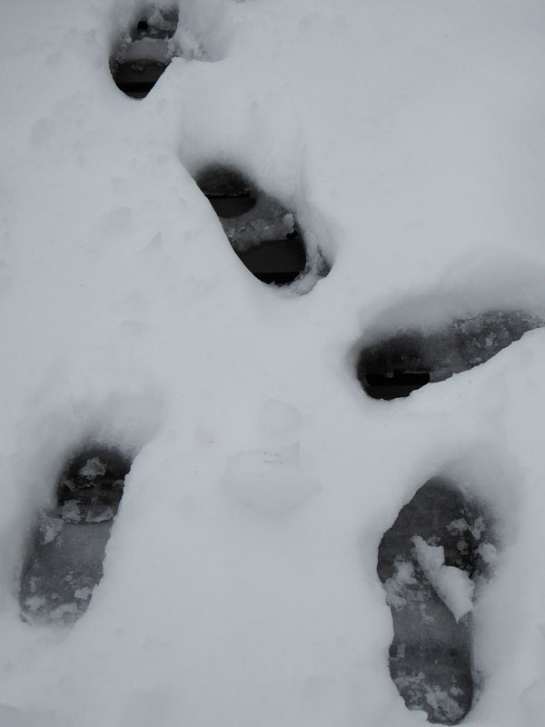 nieve-alto-palancia13_casa-rural-shariqua