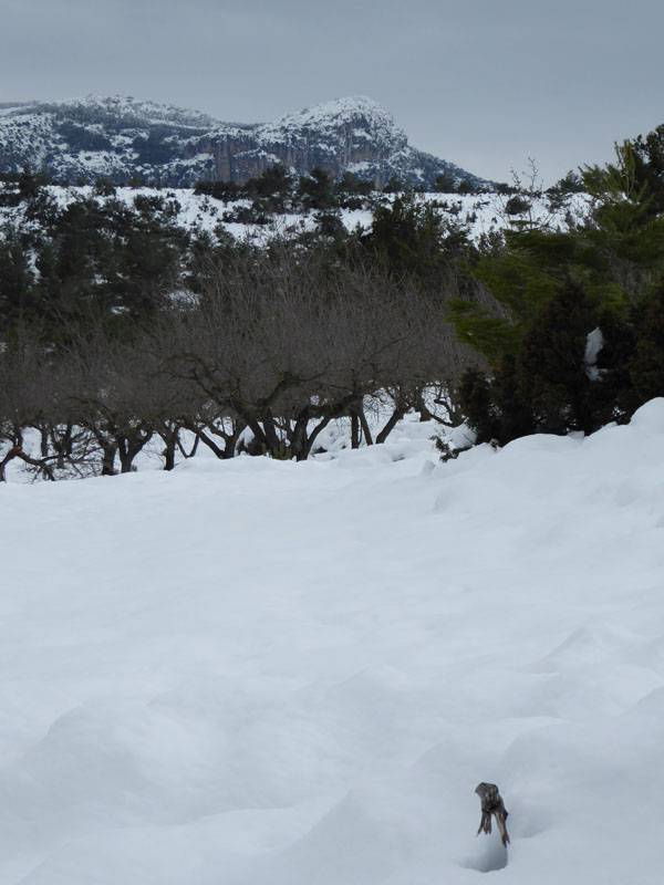 nieve-alto-palancia3_casa-rural-shariqua