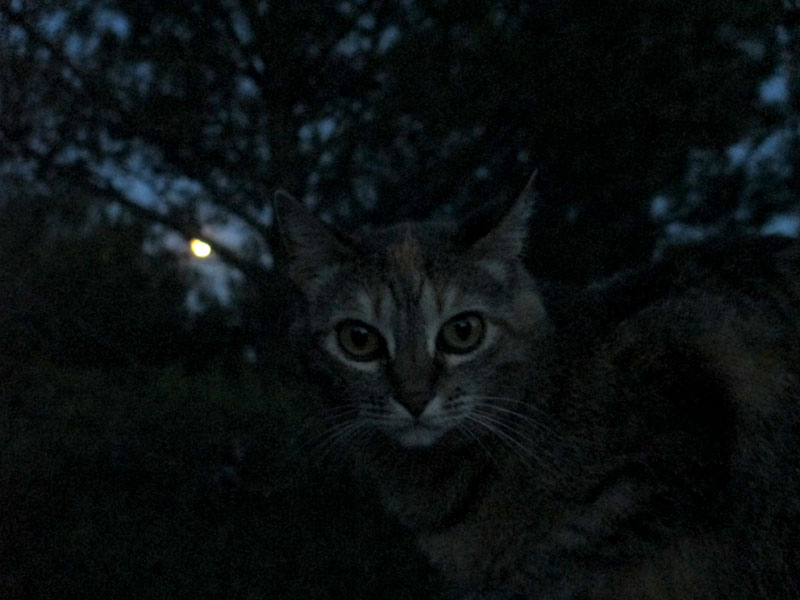 luna-de-nieve1_casa-rural-shariqua